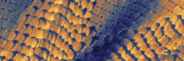 NewcastleSHeM Profile Banner