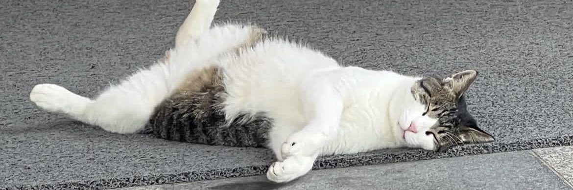 𝐴𝑛𝑑𝑎𝑟𝑟𝑎. banner