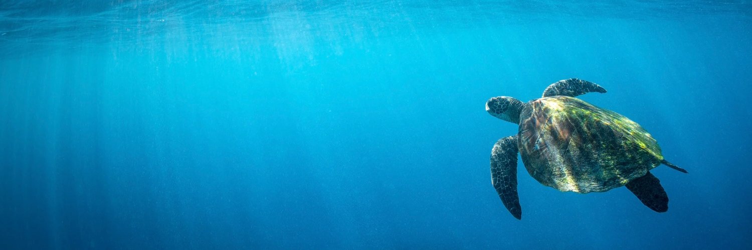 Literary Diction banner