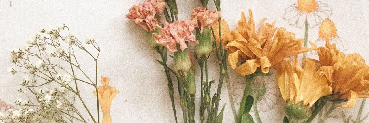 _alepao_'s profile banner image
