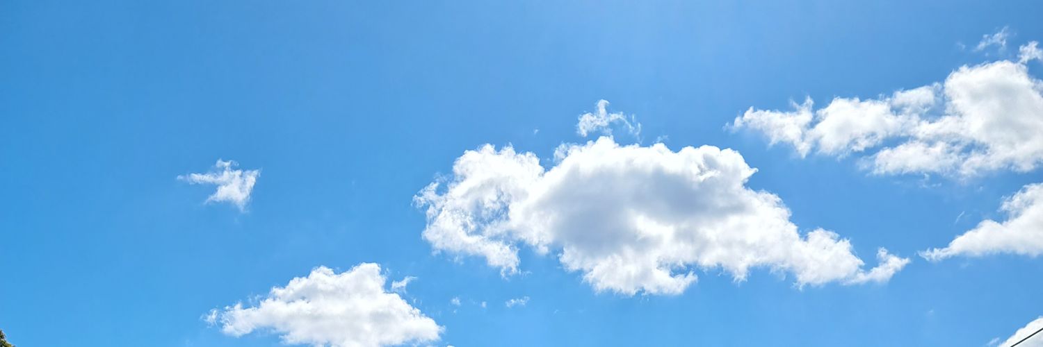 BoNezumi's profile banner image