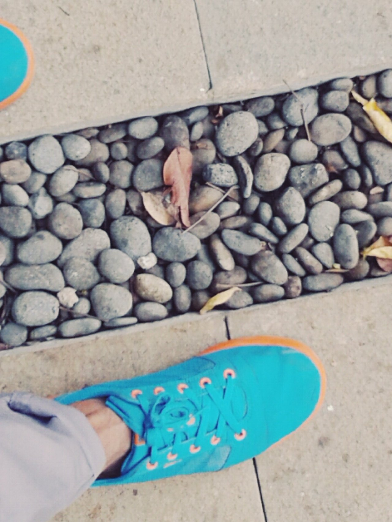 alam_follin's profile banner image