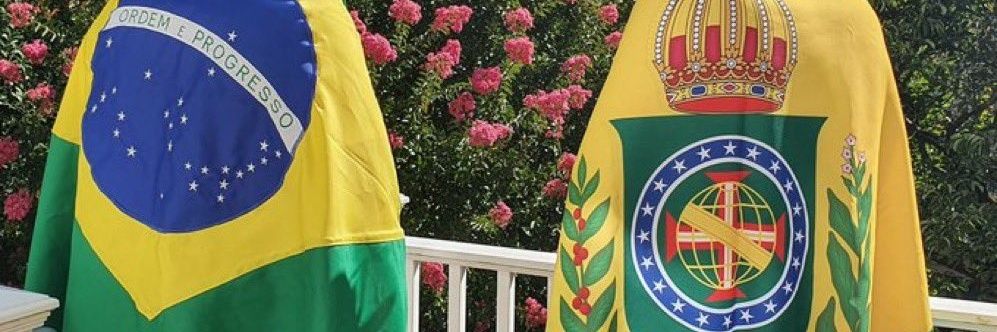 reginavsb's profile banner image