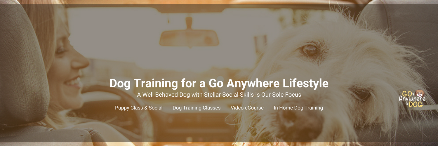 DogSenseOnline's profile banner image