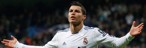 the pollenderman banner