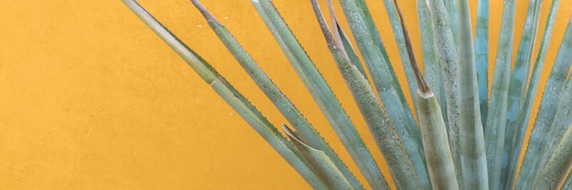 GabDanae's profile banner image