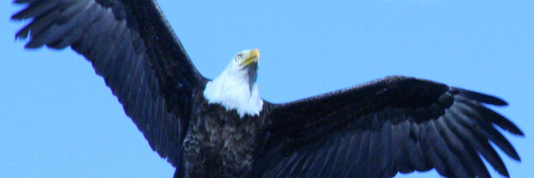 Ms. Heather Grover banner