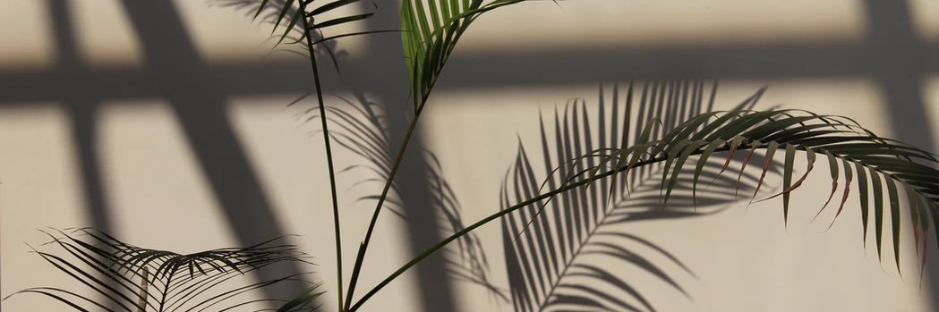 wtfmc's profile banner image