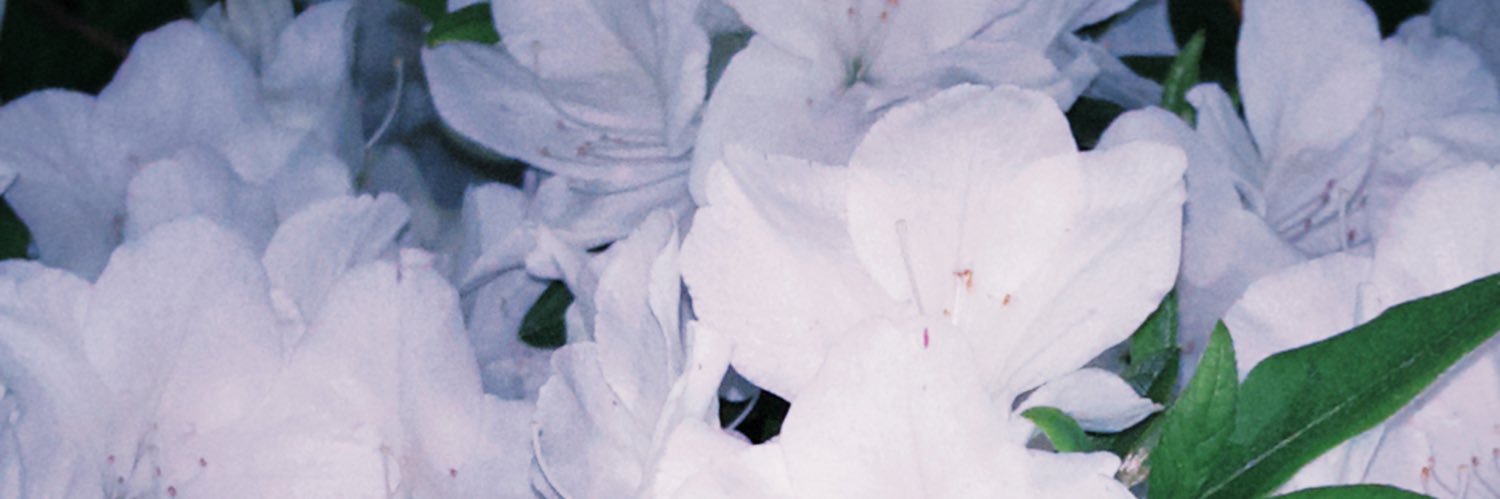 ちょすれみ🐟九州コミティア【O31】 banner