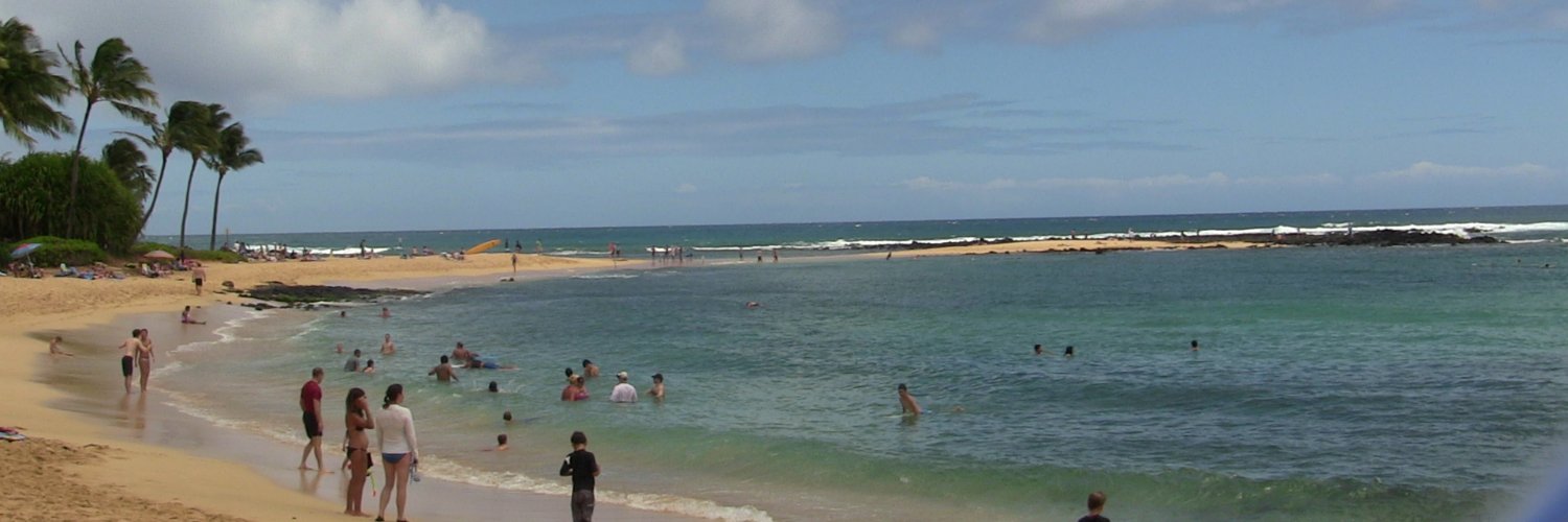 Domestic Infant Supply circa 1960s banner