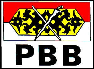 Pemuda PBB Padungan banner