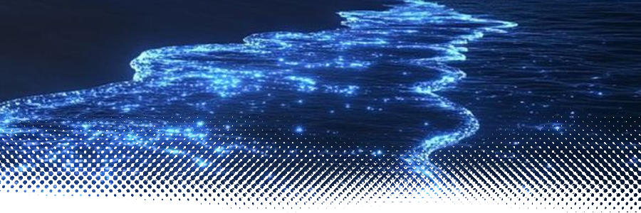 amity 🐻‍❄️ banner