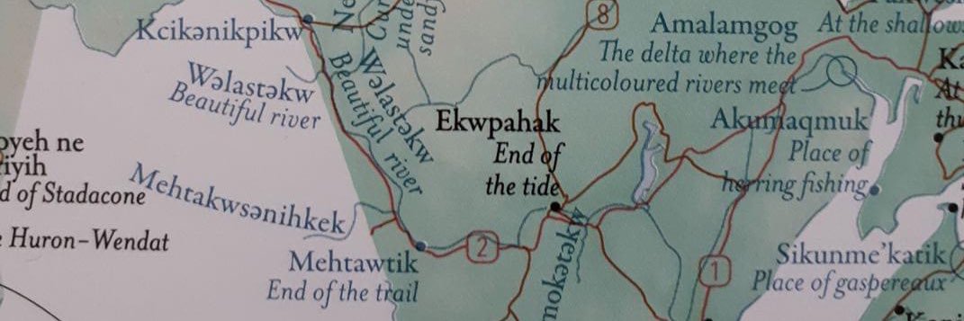 Jenica Atwin for Fredericton banner