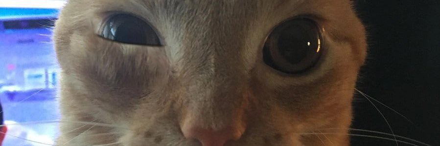 The_Smittman's profile banner image