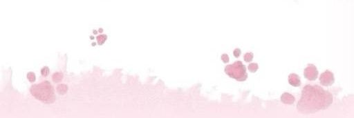 jiani0618's profile banner image