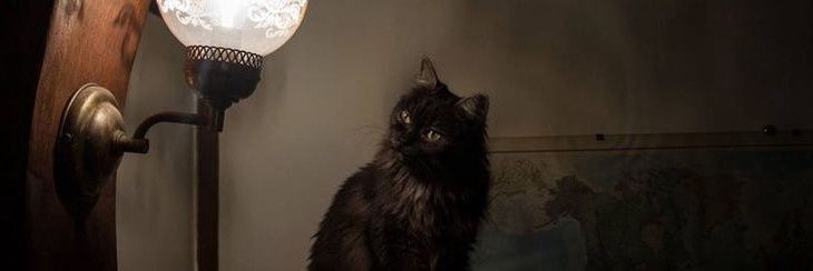 thomios delulu da silva 🎈🦊 -- ★ AU'S NO FIX banner