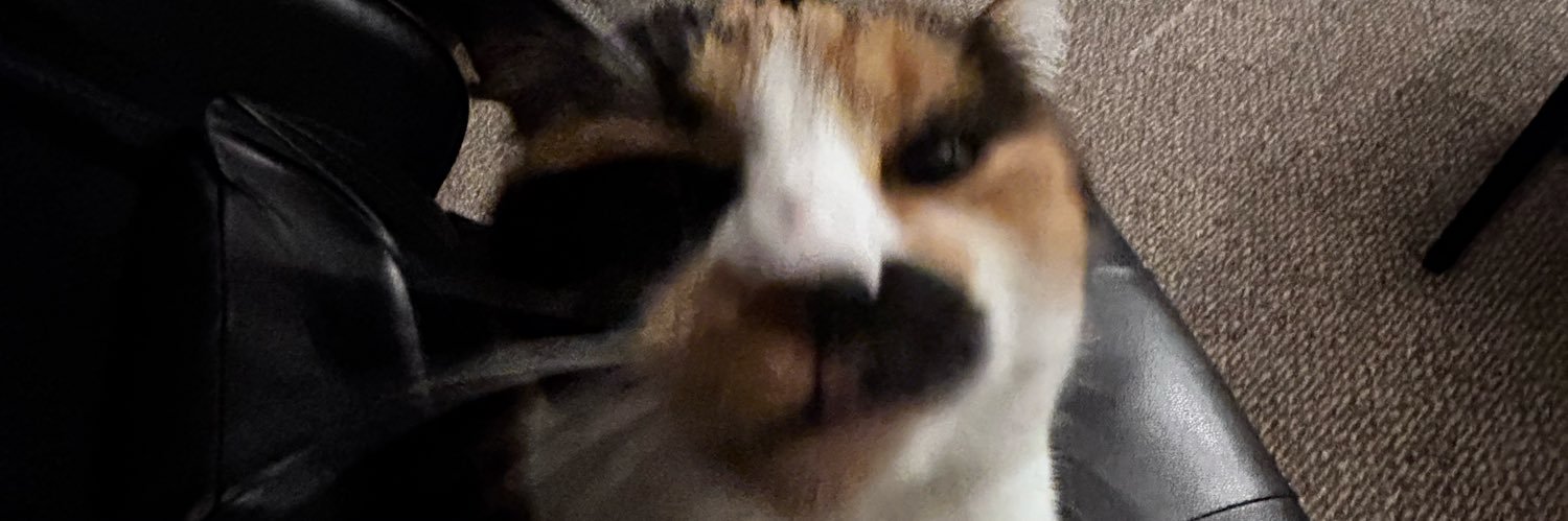 BSalupo's profile banner image
