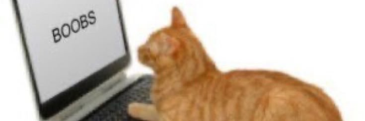 hobiyoonam's profile banner image