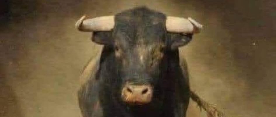 jamiethemerican's profile banner image