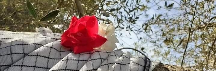 🇱🇧 M ⁽❤️₎ alak 🇱🇧 banner