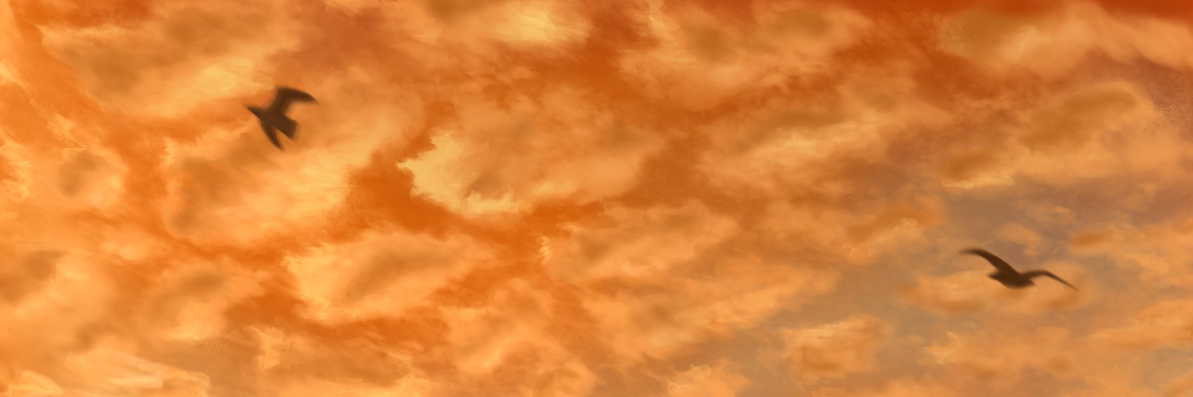 eloone's profile banner image