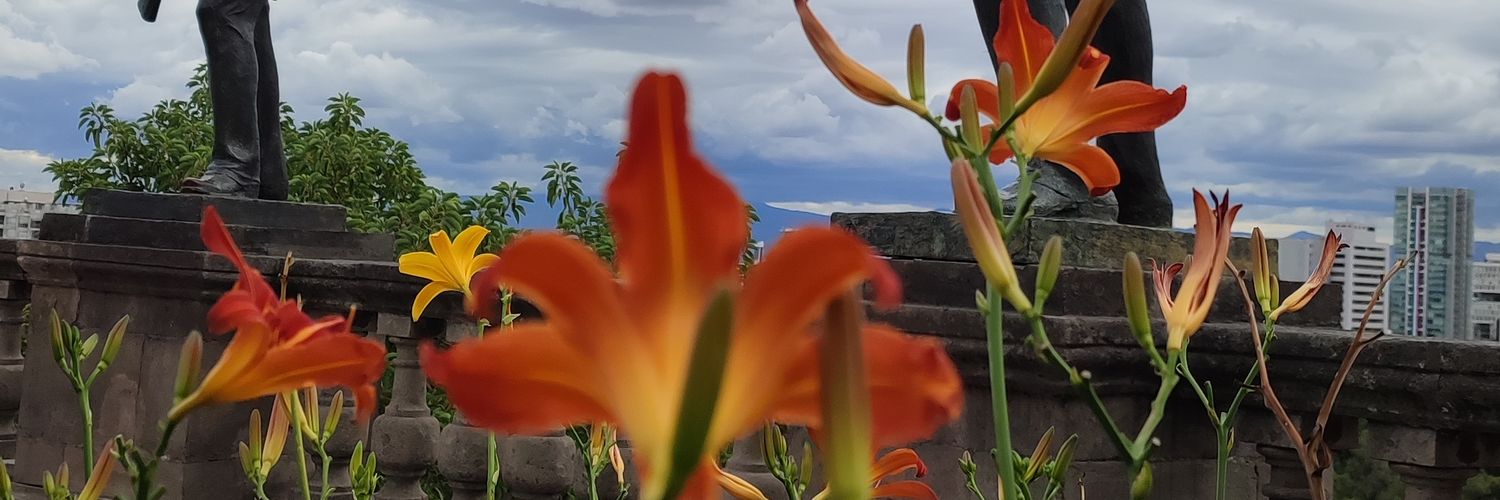castillodal's profile banner image
