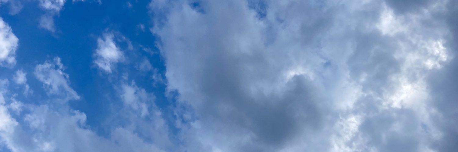 cici 🍑 banner