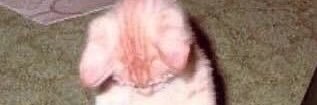 ! banner