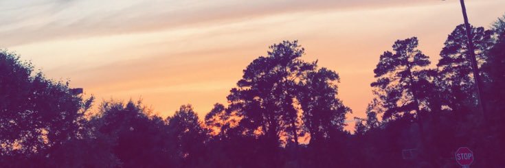 Colin_Grant25's profile banner image