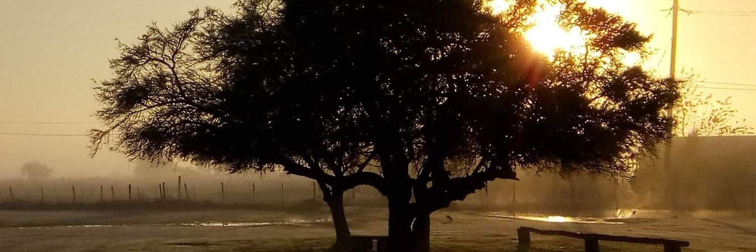 El Checho banner