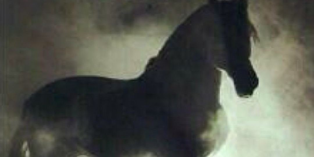 ah2b2000's profile banner image