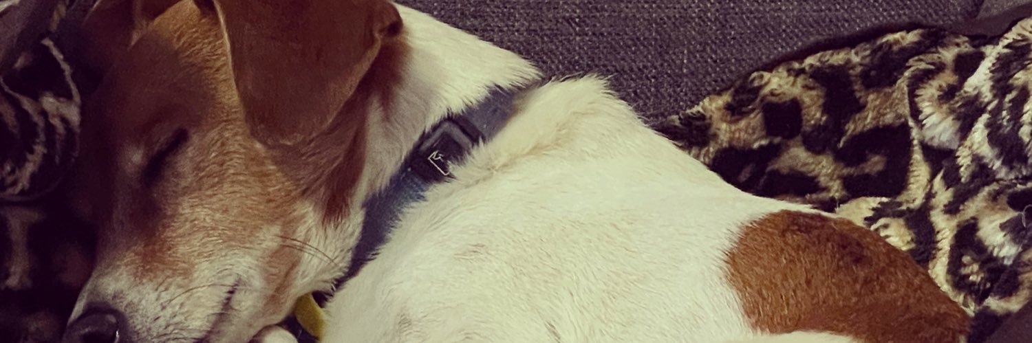steffybabee93's profile banner image