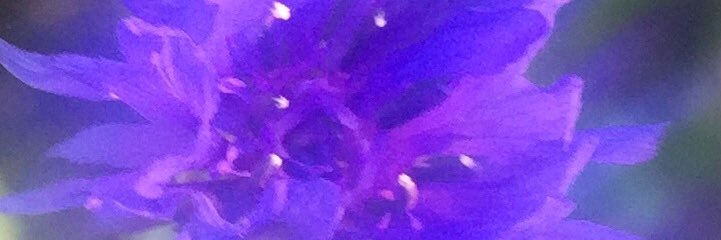 rodger_watson's profile banner image