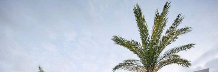 Dream To Reality banner