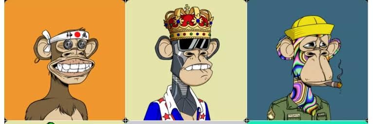Bored Apes banner