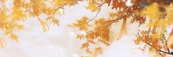 Sue ࣪ ˖ 𖦹°⋆ banner