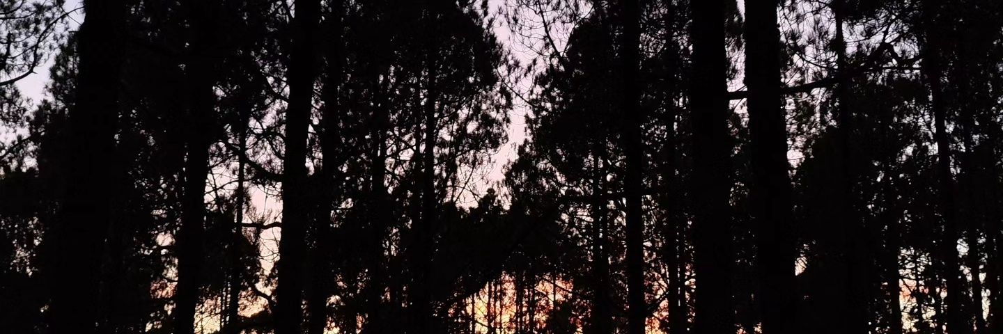 GirlOnnFire's profile banner image