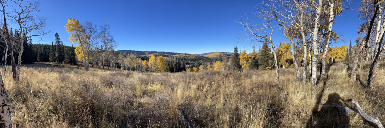 Alessandros Grillo banner