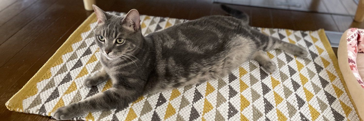 パニック太郎（Game） banner