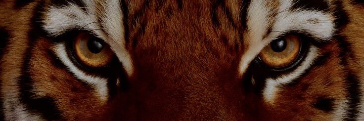 fppzone's profile banner image