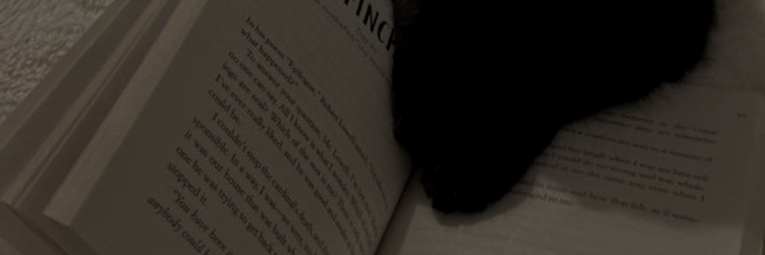 11 banner