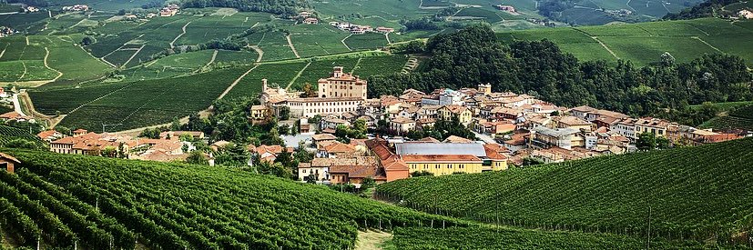 Esther Reimert banner