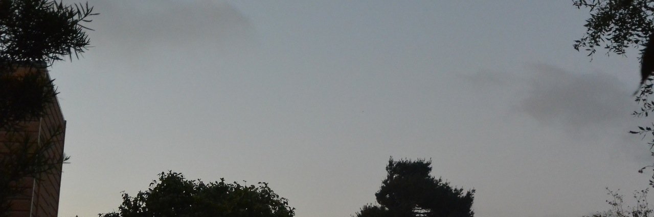 ericaceelove's profile banner image