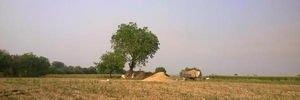 archchaudhary Profile Banner