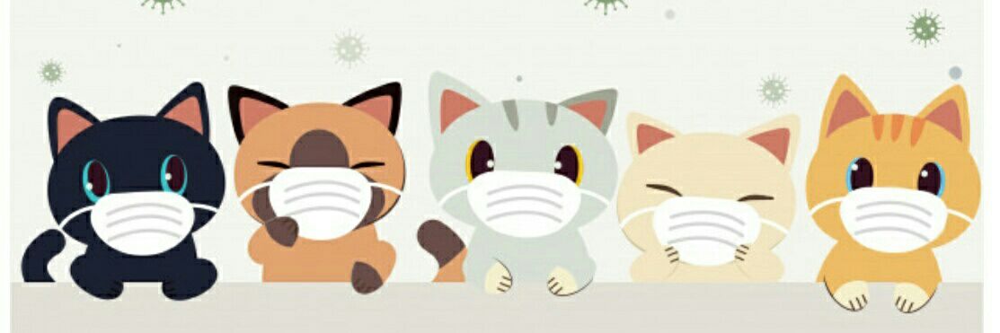 RalyDee banner