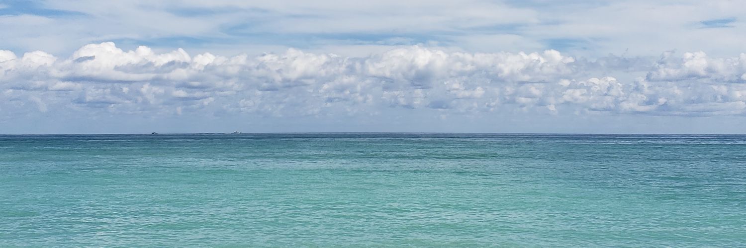 LisaDrap's profile banner image