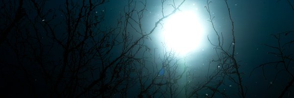 iamazah Profile Banner