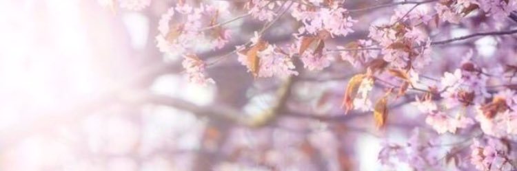Ghoom_4444's profile banner image