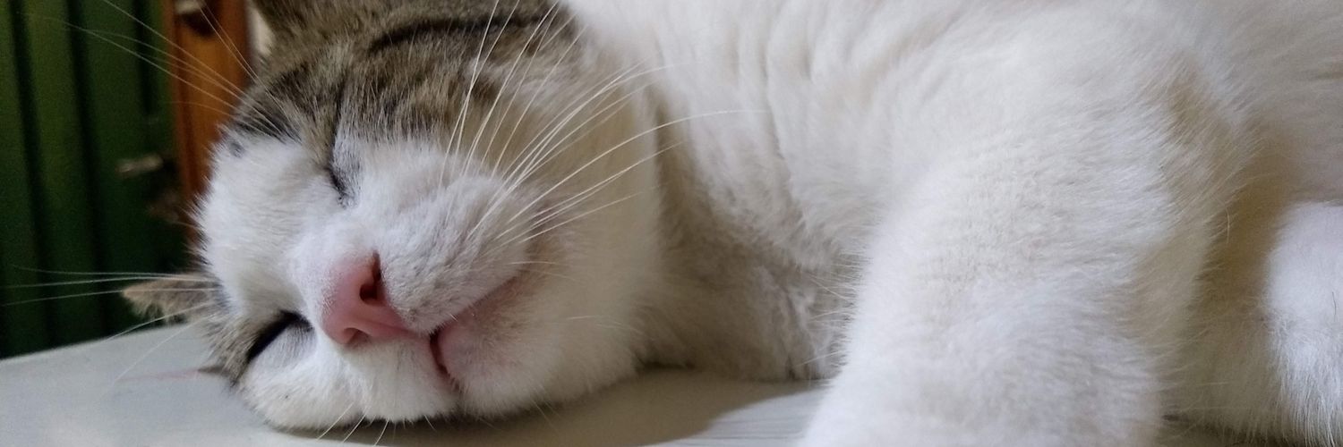 4d4q0rtIllo's profile banner image