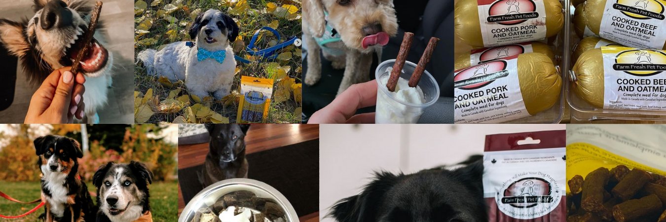 FarmFreshPet's profile banner image